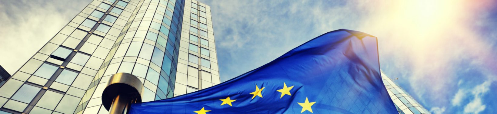 Drapeaux de l'UE en face du batiment du Parlement europeen. Bruxelles Belgique